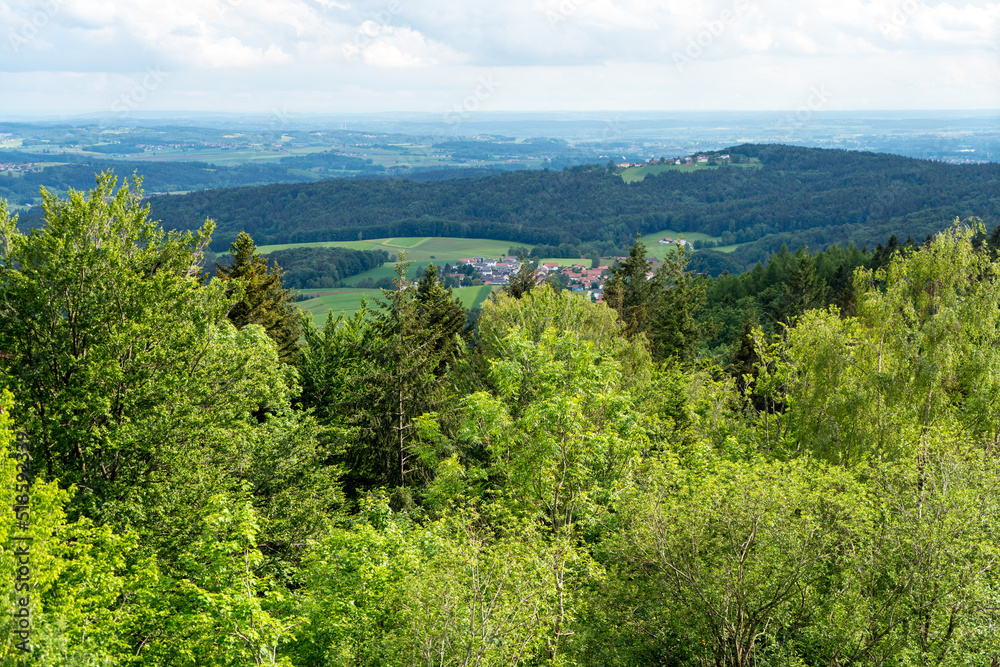 Forest areas in Germany photographed in the spring month of May