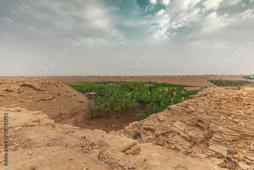 Dates palm farm in a valley photo
