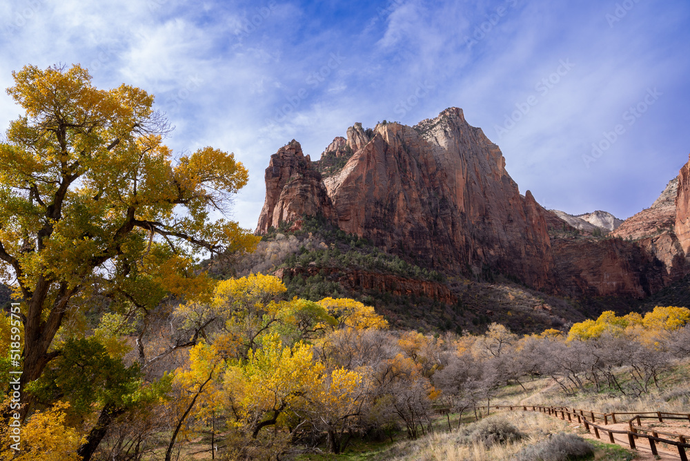 Fall Foliage on the sand bench trail at Zion National Park in southwest Utah.