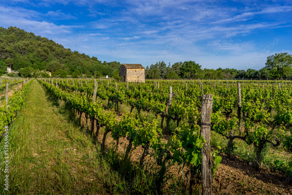 Paysage campagne 1382