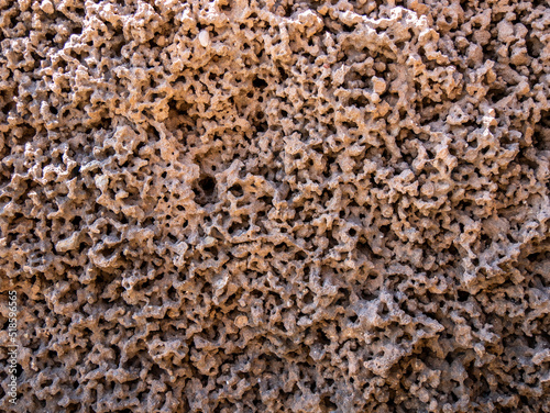 Eroded sandstone with holes beside the sea