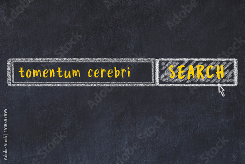 Chalk sketch of browser window with search form and inscription tomentum cerebri photo