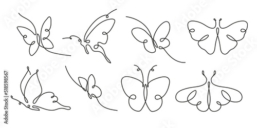 Photography Buterfly Lineart Drawing