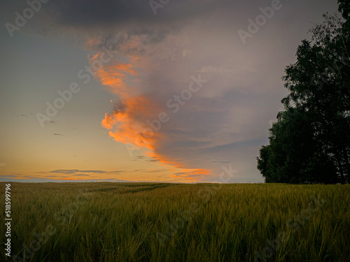 sunset over field