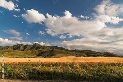 Fields of wheat in a mountain valley. Cloudy sky.