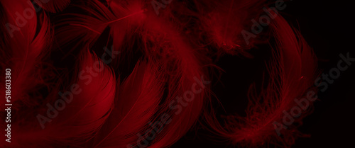 red duck feathers on a black isolated background