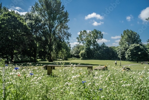 Nantwich Mill Island Flowers With Bench Sunny Day Landscape photo