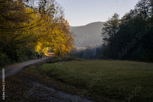 Fototapeta Naklejka Na Ścianę i Meble -  Kaysersberg vignoble promenade au Toggenbach, Alsace, France