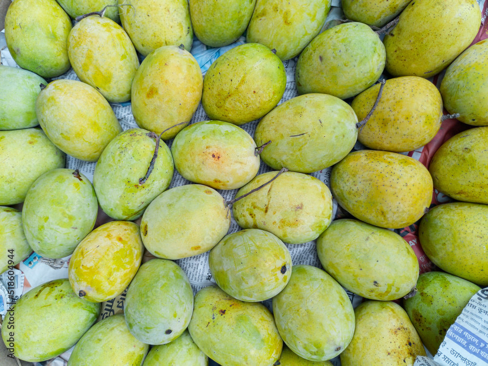 Display of ripe yellow coloured Indian mangoes (Langra variety, a
