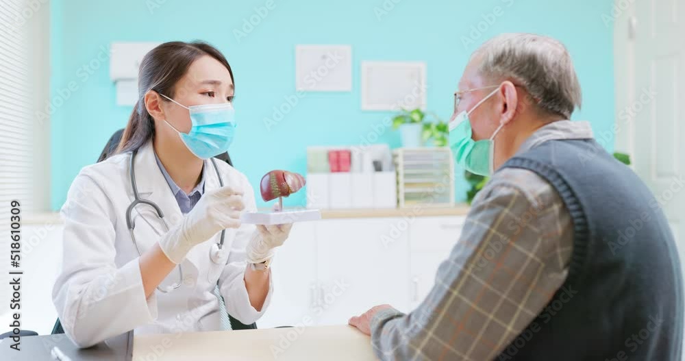 doctor explain liver model doctor explain liver model