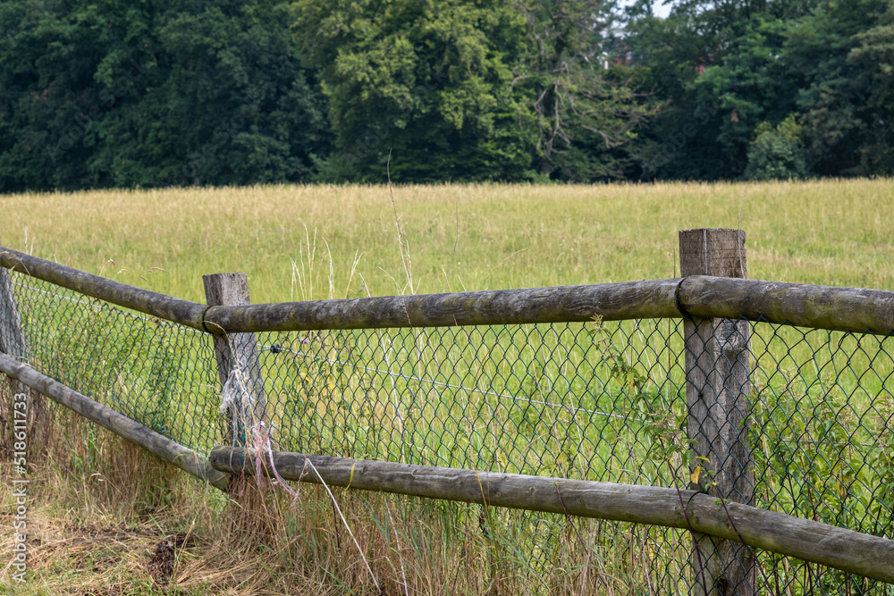 Fototapeta premium fence