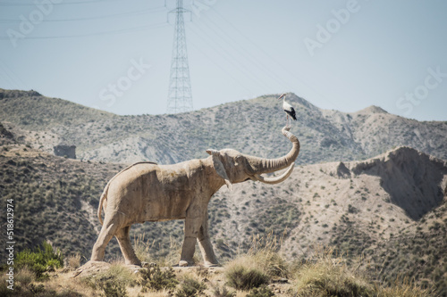 elefante africano barritando en la sabana africana photo