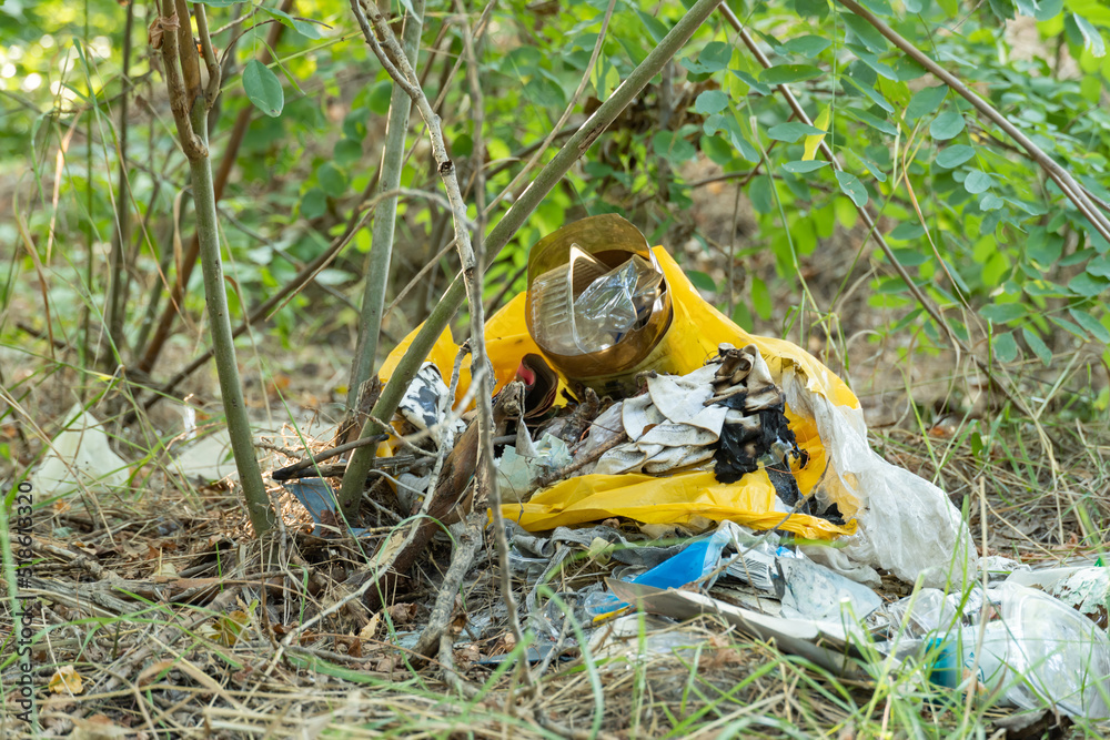 Garbage dump in forest scattered on grass. Plastic trash in the woods after picnic. People