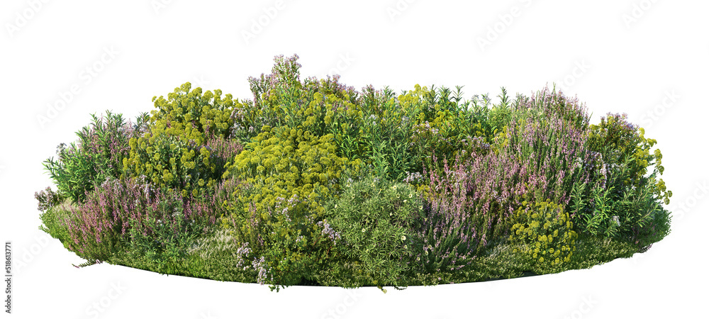 Garden of flowering shrubs on a white background Garden of flowering shrubs on a white background