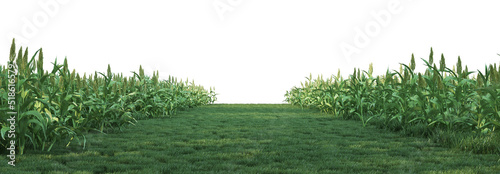 Farm pathway on a white background. 