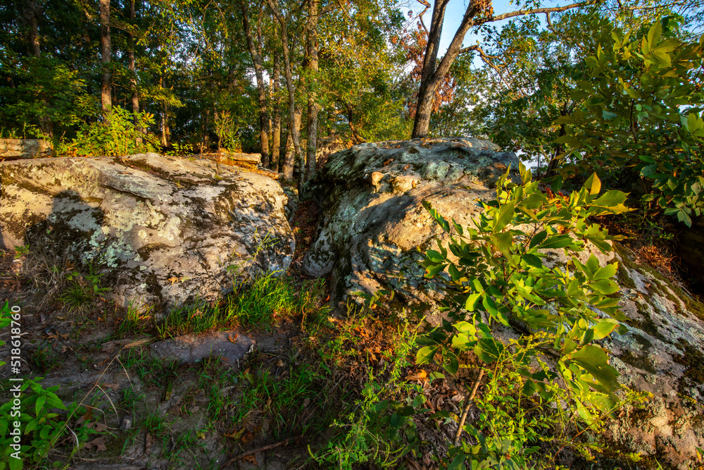 rocky woodland outcrop atop a mountain rocky woodland outcrop atop a mountain