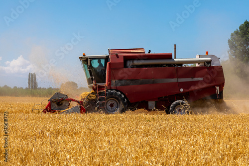 Combine Harvester Harvesting Wheat In Agricultural Field