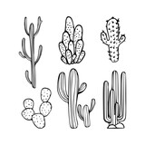 Mexican cactus set. Desert spiny plant, cacti flower and tropical home plants or garden cactuses and succulent. Flora isolated vector icons collection. Illustration in line art style.