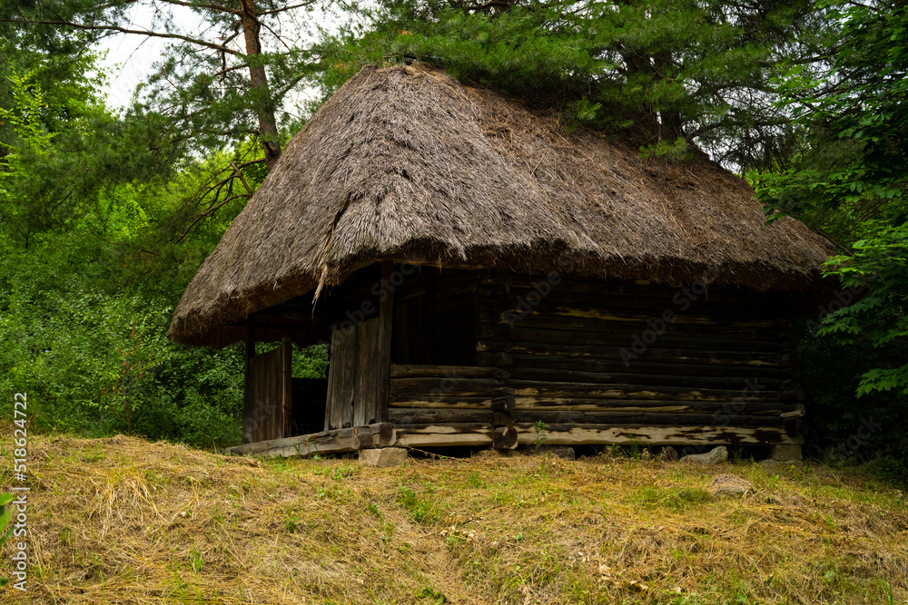 Abandoned rural house in the thickets