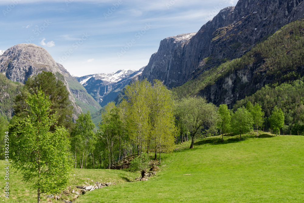 Green nature among high mountains in Norway