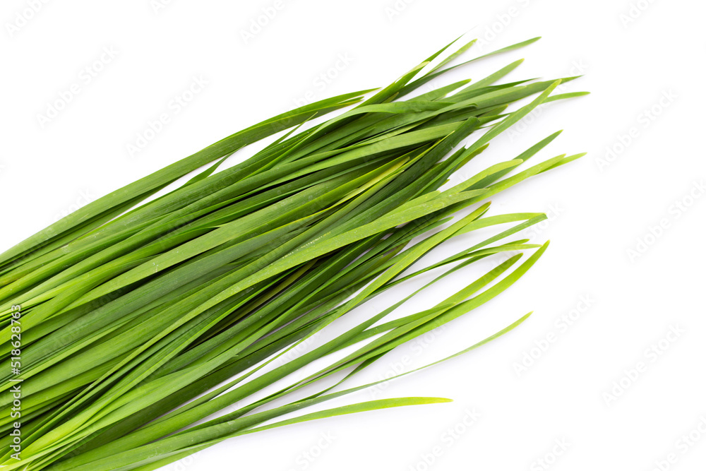 Fresh Chinese Chive leaves on white background. Fresh Chinese Chive leaves on white background.