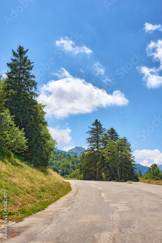 Curvy open road or street through green tall trees with a cloudy blue sky. Landscape view of a path in a scenic and peaceful location surrounded by nature or lush foliage on a summer day © SteenoWac/peopleimages.com