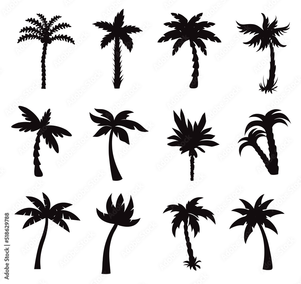 California palm trees isolated Vectors Silhouettes