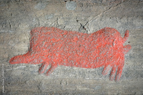 Closeup shot of a rock carving of a wild boar in Himmelstalund, Norrkoping, Sweden photo