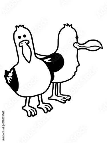 Team 2 lustige Möwen 