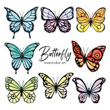 Colorful butterfly's watercolor set. Watercolor illustration