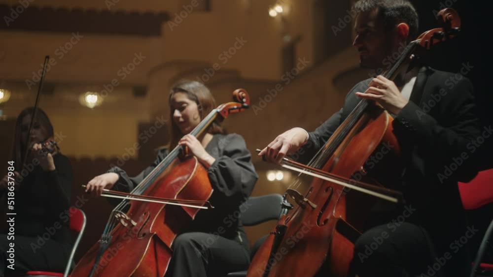 musical ensemble of string instruments, concert of classic music or rehearsal, cellists and violinists