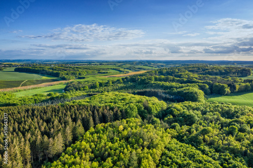 Aerial view of pine forests in Denmark on a cloudy day in summer. Landscape of cultivated green woods for wooden timber and lumber near lush farm land against a blue horizon for copy space background