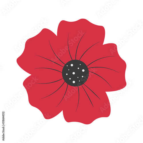Poppy flower illustration Remembrance day symbol photo