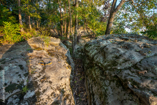 lichen covered rock outcrop atop a forested mountain