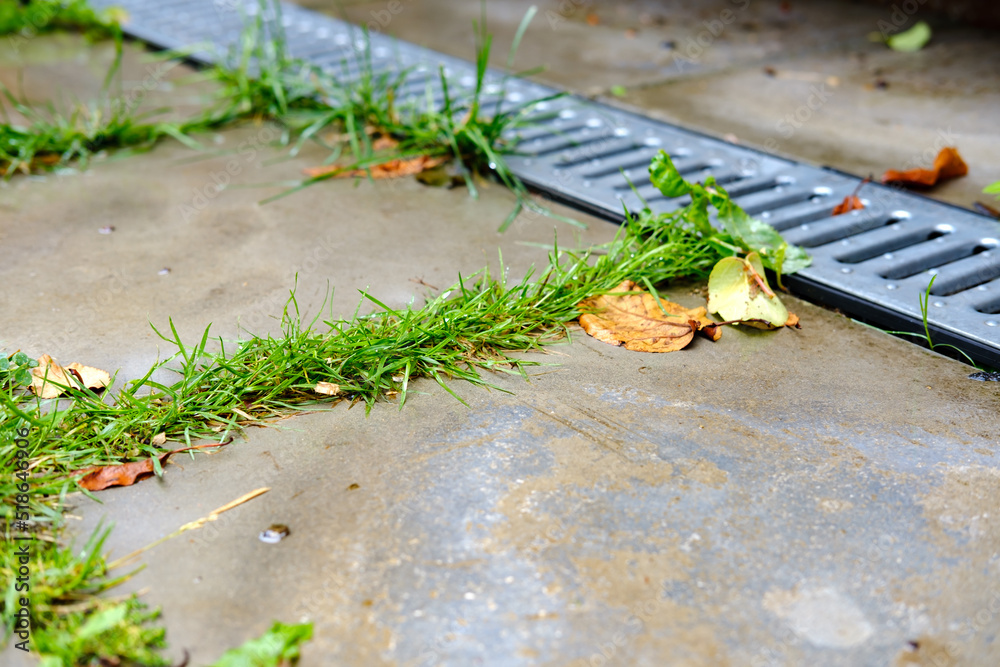 Weeds grow in the seam between the concrete slabs of the pavement walkway next to the metal