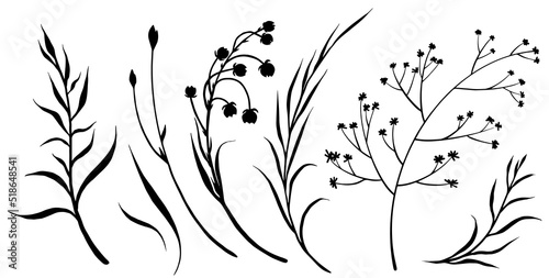 Set of decorative wild meadow flowers and branches. Hand drawn black and white vector illustration.