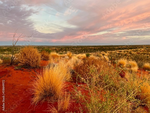 Scenic view of greenery growing in the desert near Uluru or Ayers Rock, South Australia photo