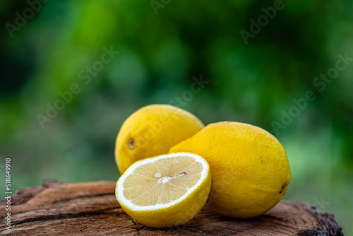 Fresh organic lemons Summer fruit  old wood table  Still Life  green nature background wood stump trunk outdoor  ripe yellow