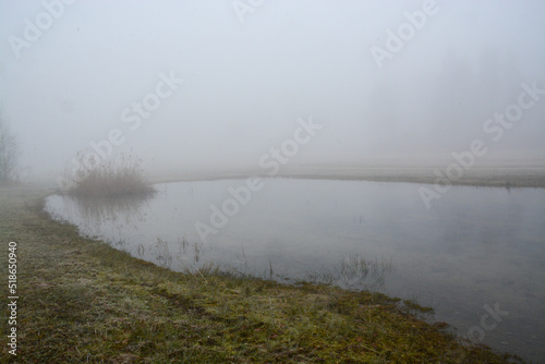 Foggy morning at the pond