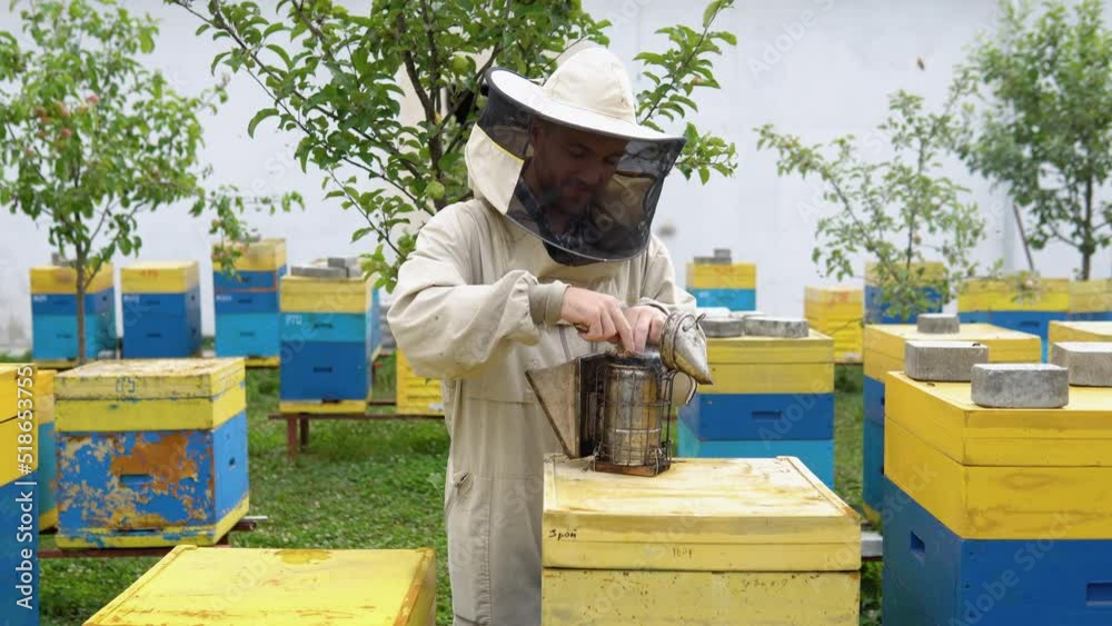 A beekeeper preparing old bee smoker on the apiary. Beekeeping concept A beekeeper preparing old bee smoker on the apiary. Beekeeping concept