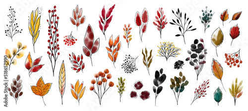 Bunch with leaves, branches, burdock, berries, bushes, viburnum, rowan. Set of autumn botanical watercolor design elements with black outline