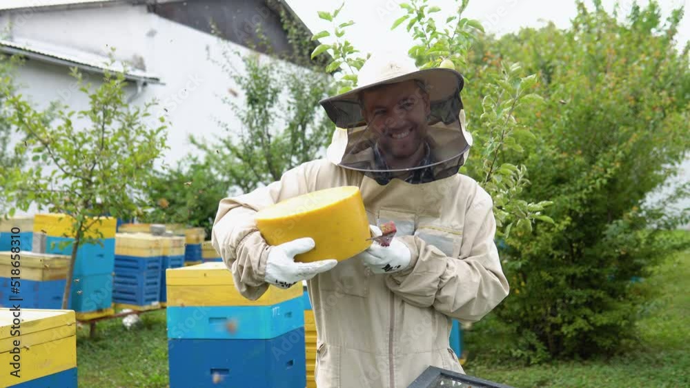 Closeup portrait of beekeeper holding a bee wax. Beekeeping concept. Beekeeper harvesting honey Closeup portrait of beekeeper holding a bee wax. Beekeeping concept. Beekeeper harvesting honey
