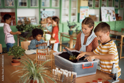Elementary students learning botany while planting in the classroom.
