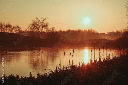 Nature around the UK photo