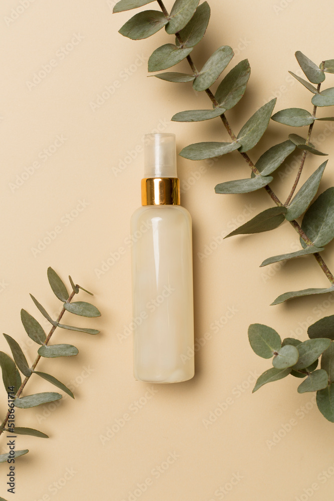 Cosmetic bottle with eucalyptus branch on color background, top view Cosmetic bottle with eucalyptus branch on color background, top view