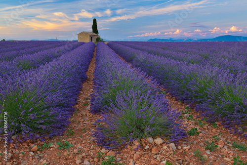 Lavender sunset with hut