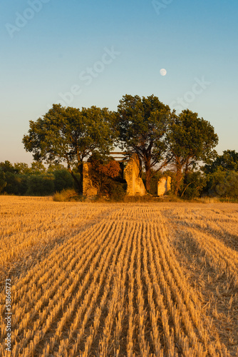 Summer sunset in Provence