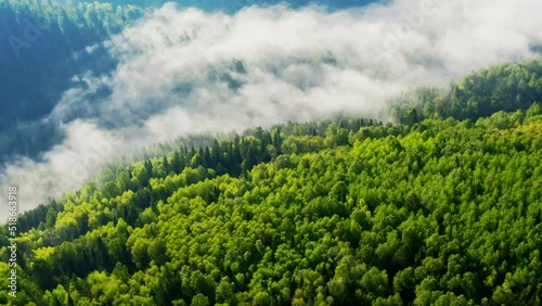 Fog flowing over river, forest in mountains in morning. Mist moving above stream, woods at dawn. Brume floating over water surface, hills covered with trees at sunrise. Aerial view