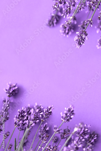 Creative layout from lavender flowers on lilac background. Flatlay with copy space.