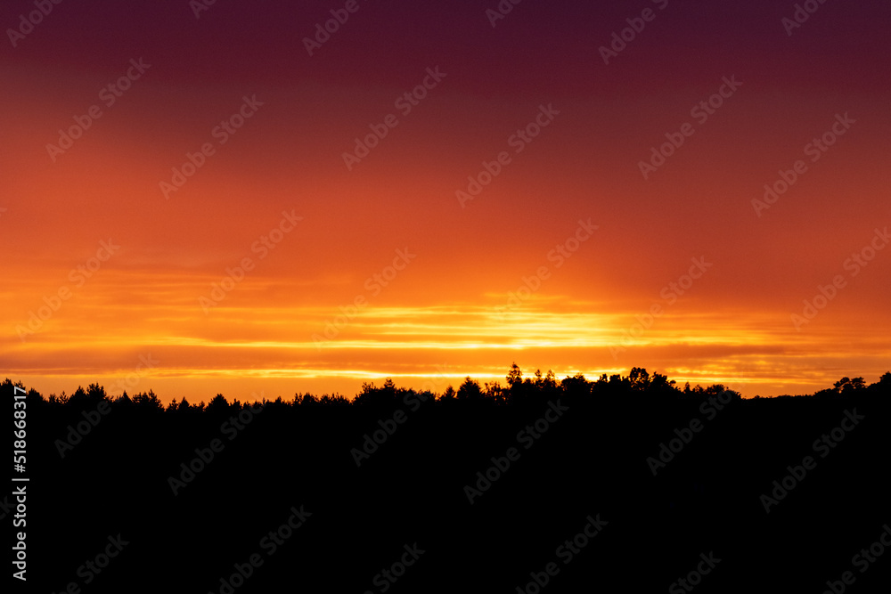 Fiery sunset with tree line silhouette in a distance